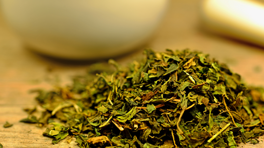 How to Dry Stinging Nettle Leaf?