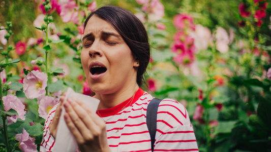 Stinging Nettle Root for Allergies: Mechanism and Benefits