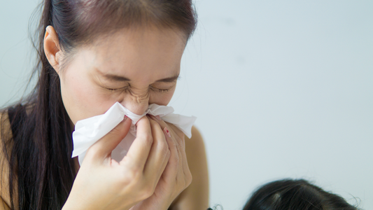 Stinging Nettle Root: A Natural Approach to Managing Allergic Rhinitis