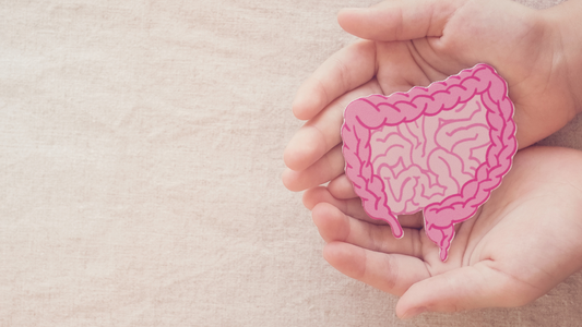 Heal Your Gut with Tongkat Ali: How It Can Help Improve Digestion and Promote Gut Health