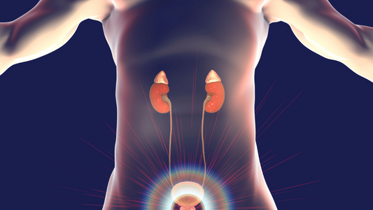 Prostate Protection: The Power of Pygeum Bark