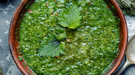 How to Cook Stinging Nettle Leaves?