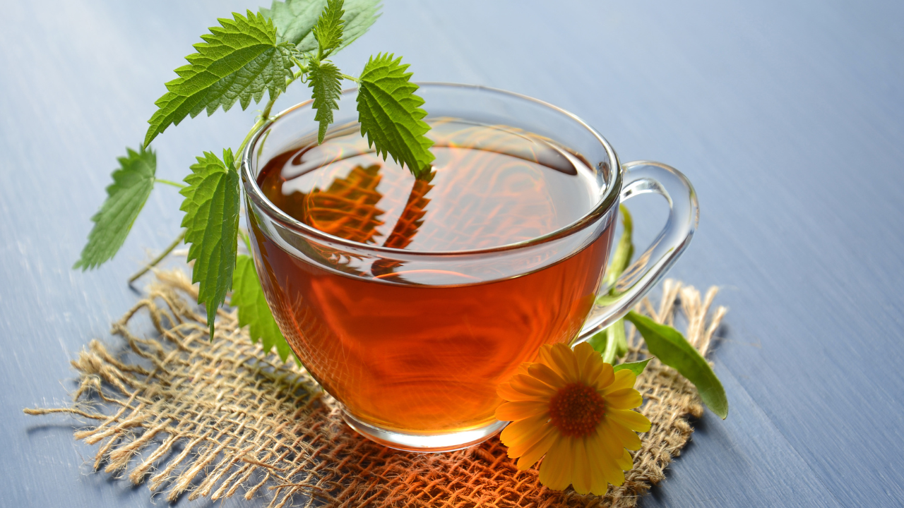 What Is Stinging Nettle Leaf Tea Good For? – Real Herbs