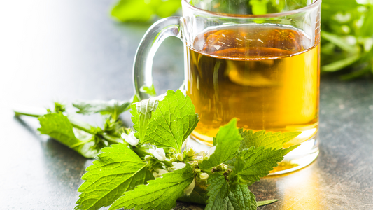 Is Nettle Leaf Tea The Same As Stinging Nettle?