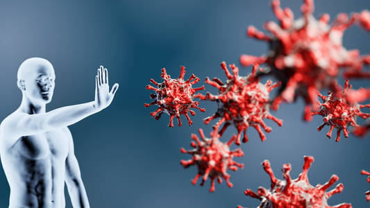 Pygeum Bark: The Immune System Booster