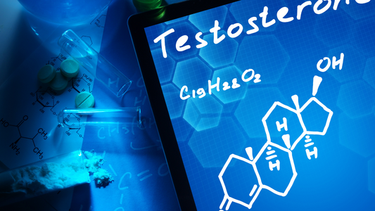 The Natural Way to Boost Testosterone: Harnessing the Power of Tongkat Ali