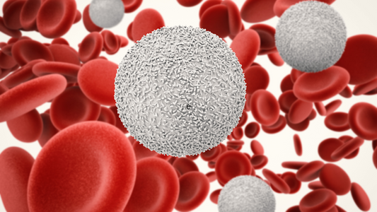 Tongkat Ali: The All-Natural Solution for a Healthy and Strong Immune System