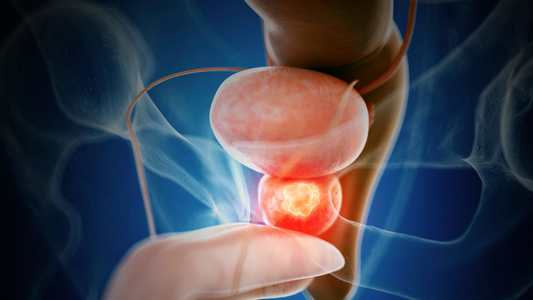 The Prostate's Best Friend: How Pygeum Bark Can Improve Your Health