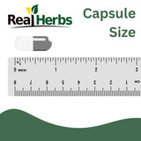 Real Herbs Stinging Nettle Root Extract 7500mg – Supports Prostate Health, Urinary Flow, Hair Loss & Hormonal Balance – 100 Vegetarian Capsules