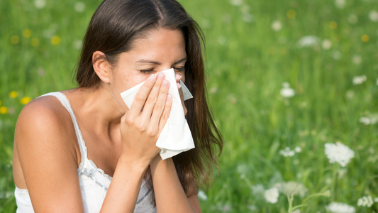 Stinging Nettle Root: Nature's Secret Remedy for Allergies
