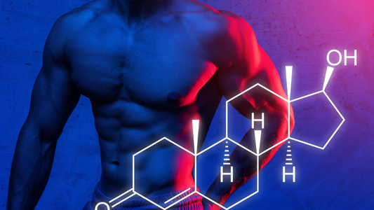 Boosting Testosterone with Stinging Nettle Root: What You Need to Know