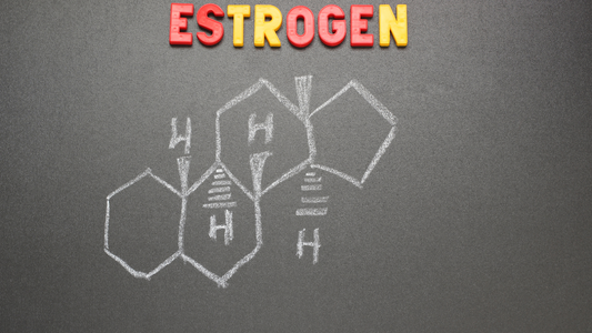 Does Stinging Nettle Root Block Estrogen?