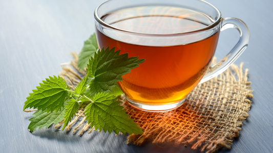 How To Make Stinging Nettle Root Tea