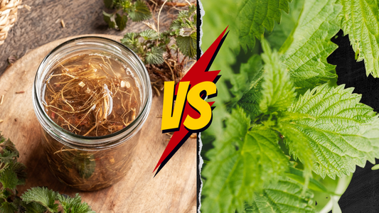 Which Is Better Stinging Nettle Root Or Leaf?