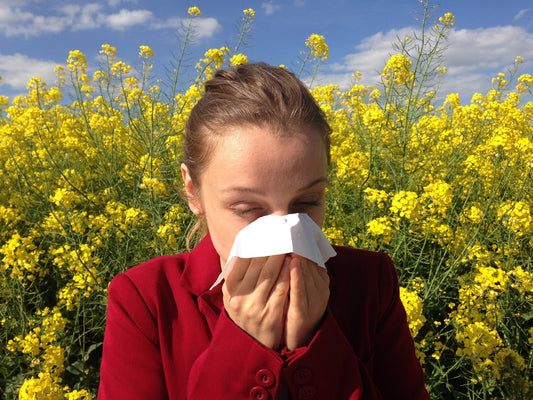 Stinging Nettle Root: A Natural Solution for Seasonal Allergies
