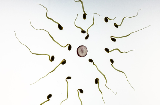 What You Should Do to Improve Sperm Count, Quality and Motility